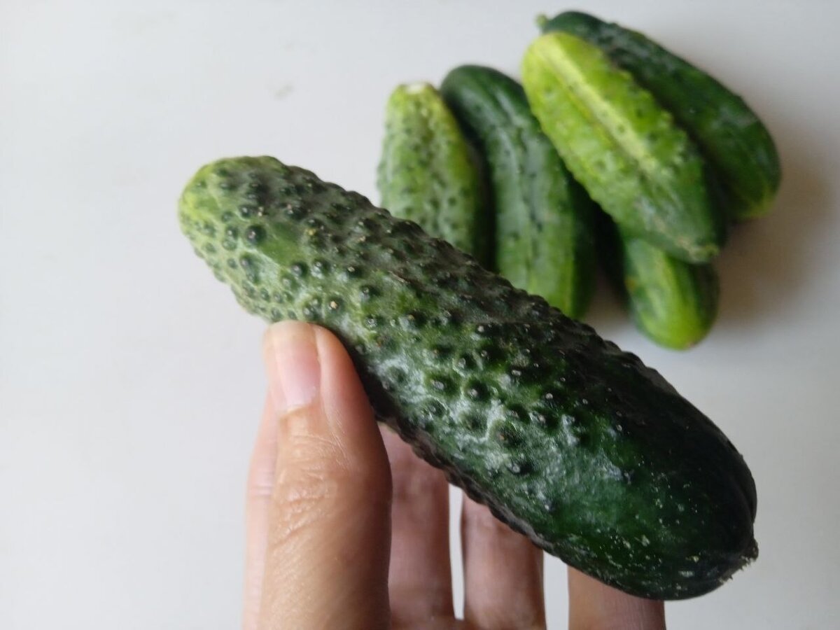 Огурчики для длительного хранения берите домашние, свежие и красивые 