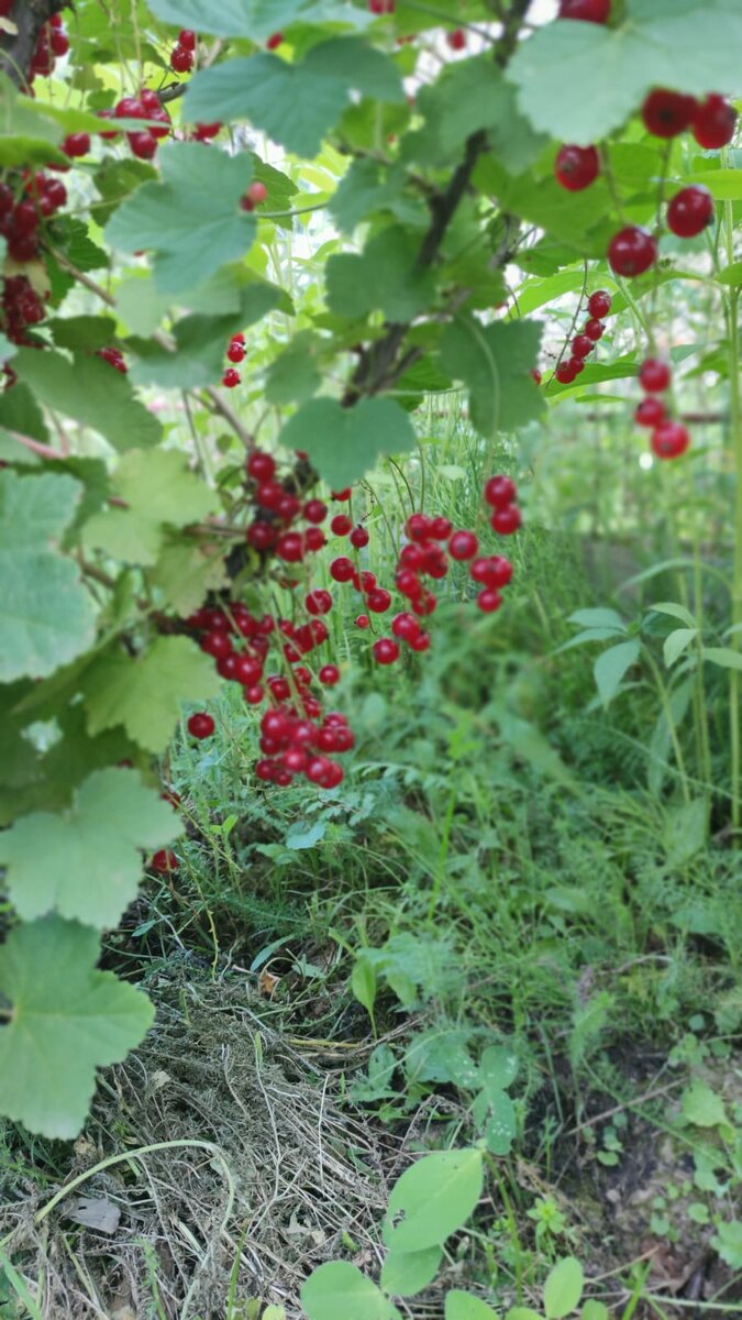 Фото из архива автора