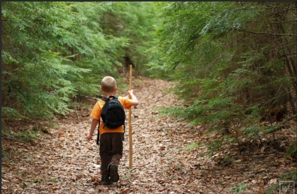 Фото из интернета 