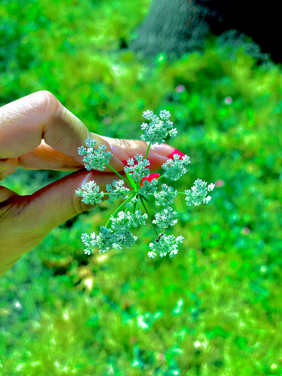 Отнеситесь к тесту с иронией и лёгкостью, а результаты есть то, что рисует воображение каждого