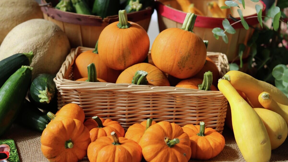    Овощи© Фото : Unsplash / Emma Shappley