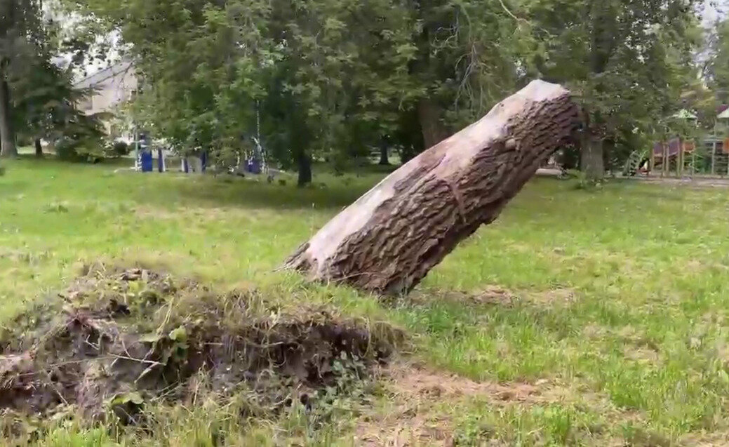    Скриншот из видео в группе Рязань | Народный Контроль ВКонтакте