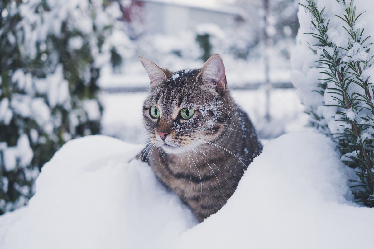 фото с сайта Unsplash
