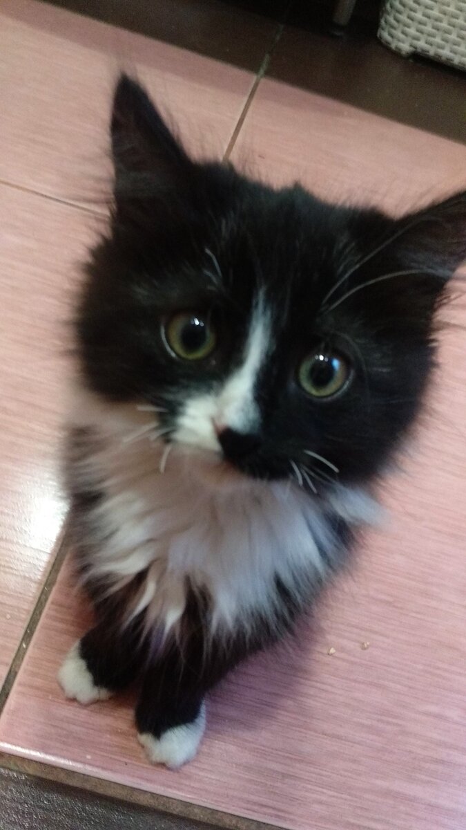 Фото с просторов 