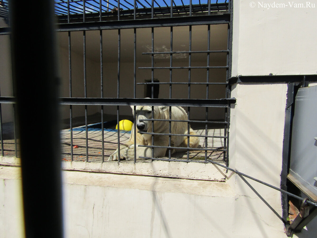 Жара. 09.08.2023