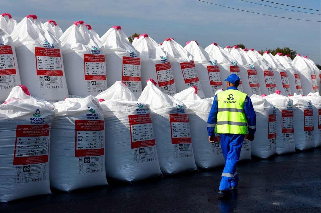    BZ: отказ ФРГ от российского газа привел к зависимости от удобрений из РФ