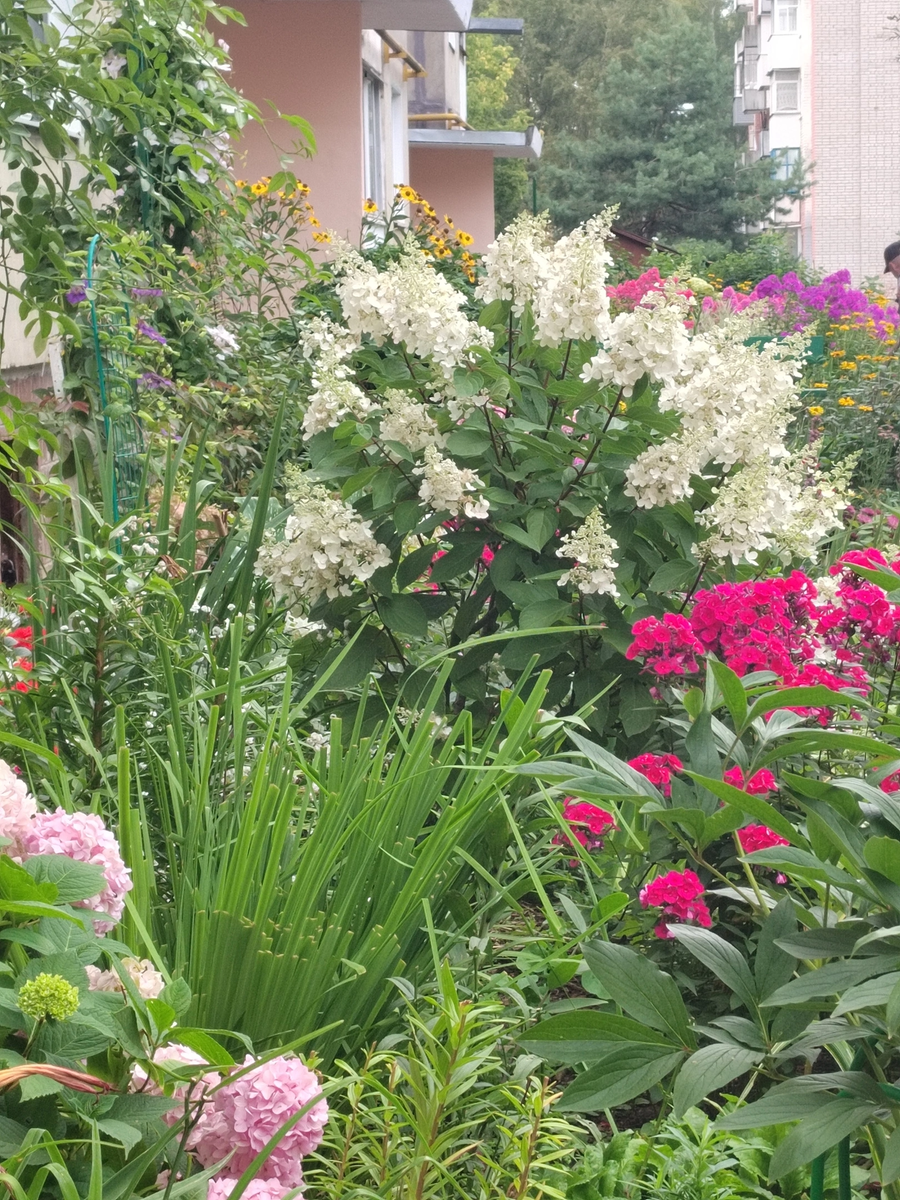 Фото хозяйки полисадника. Марина, простите за публикацию без разрешения, не дождалась от вас ответа на момент выхода статьи.