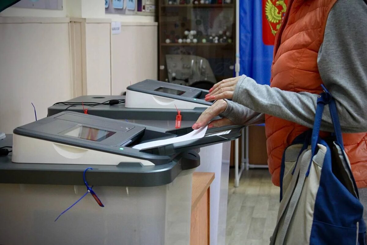 Явка на выборах новосибирская область 2024