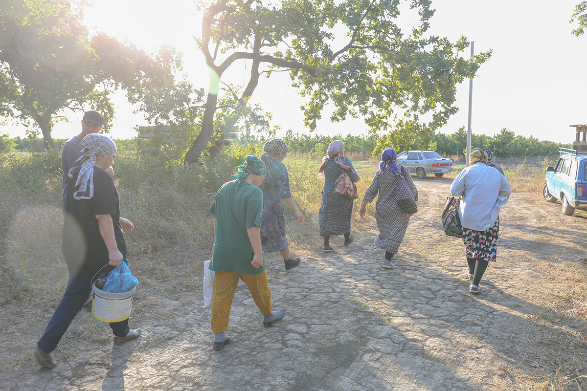 Фото: Зарема Алиева/ТАСС  