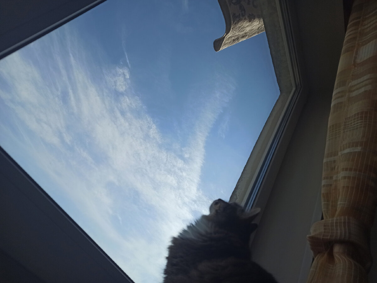 Это я смотрю, как соседский ковер сушится 