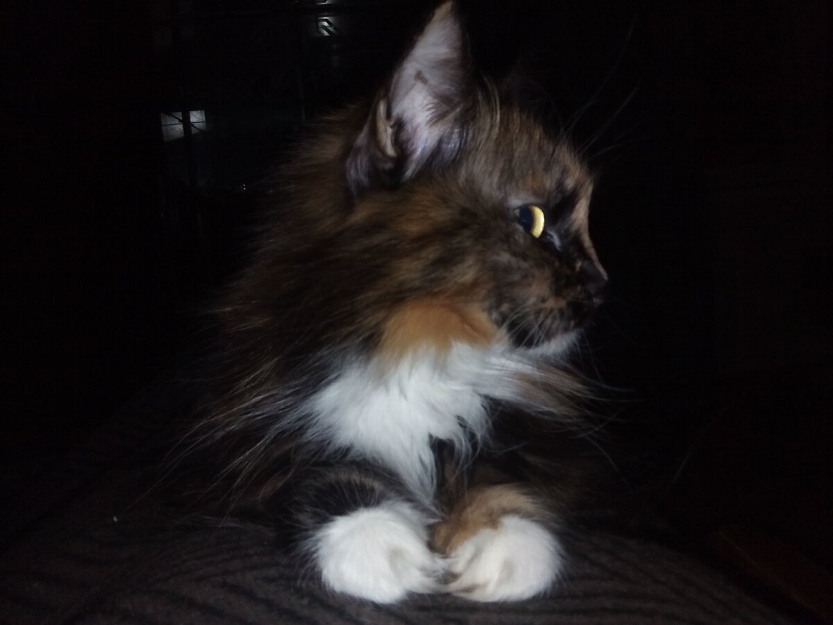 Во всей красе