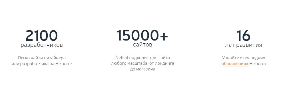 Официальная информация netcat.ru