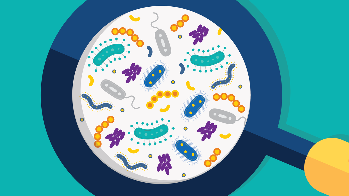 Источник: https://geneticliteracyproject.org/2018/01/18/glyphosate-herbicide-harms-human-microbiome-not-biologically-plausible/ 