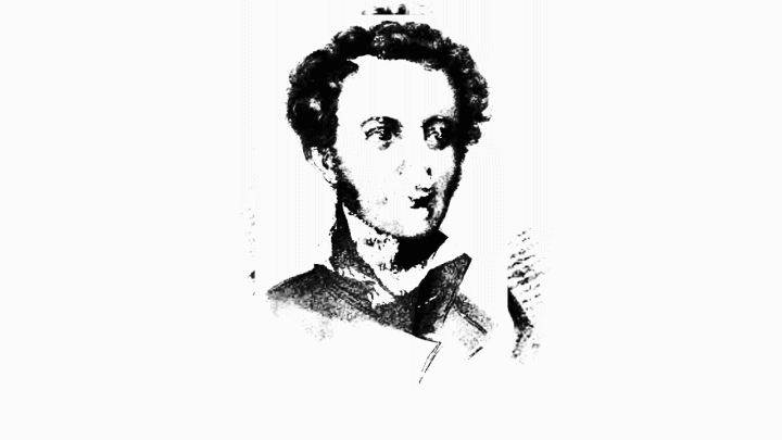 Все портреты уникальны и иногда кажется , что это много разных людей. Но свидетельства очевидцев и другие мелочи не позволяют соскользнуть в конспирологию и задуматься , что никакого Пушкина , никогда не было.