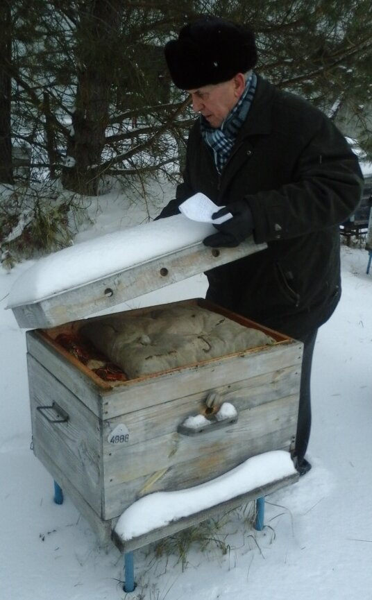 
Вид зимней пасеки 
 
Начало осмотра семьи пчел зимой 