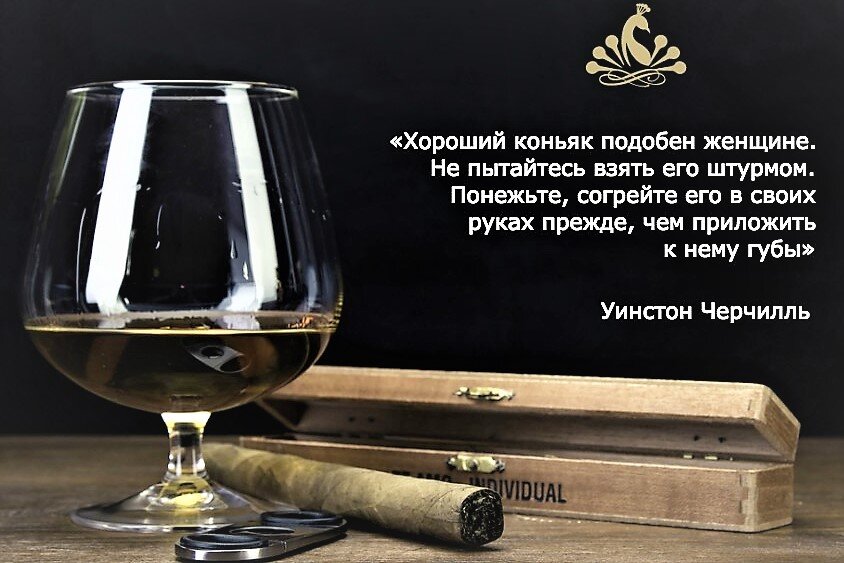 По коньячку картинки прикольные с надписями