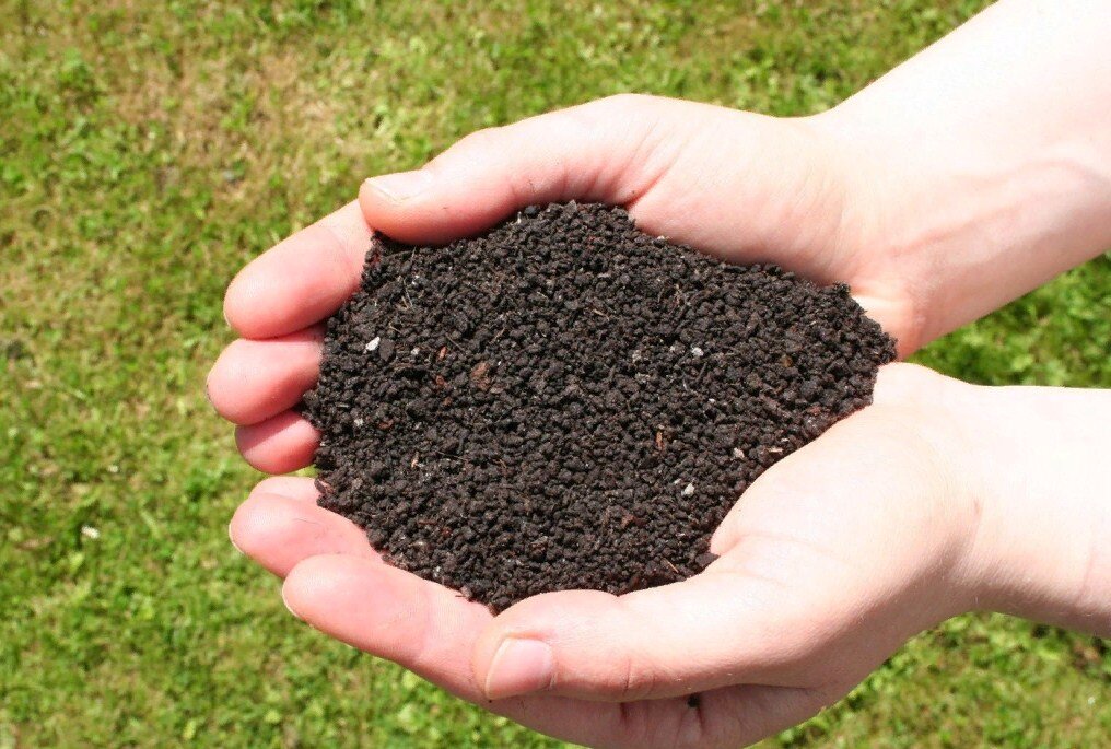 Источник: sakhalin.biz