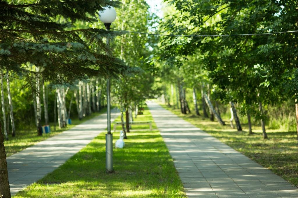 дорожки для скандинавской ходьбы и прогулок фото https://www.booking.com/