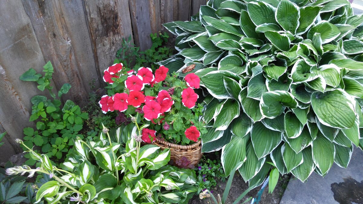 фото из личного архива