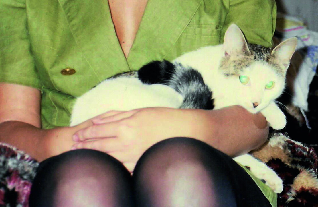 Вот он, наш лечебный котейка!