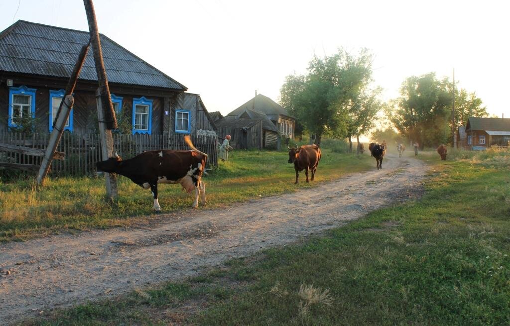 Домик у дороги козы