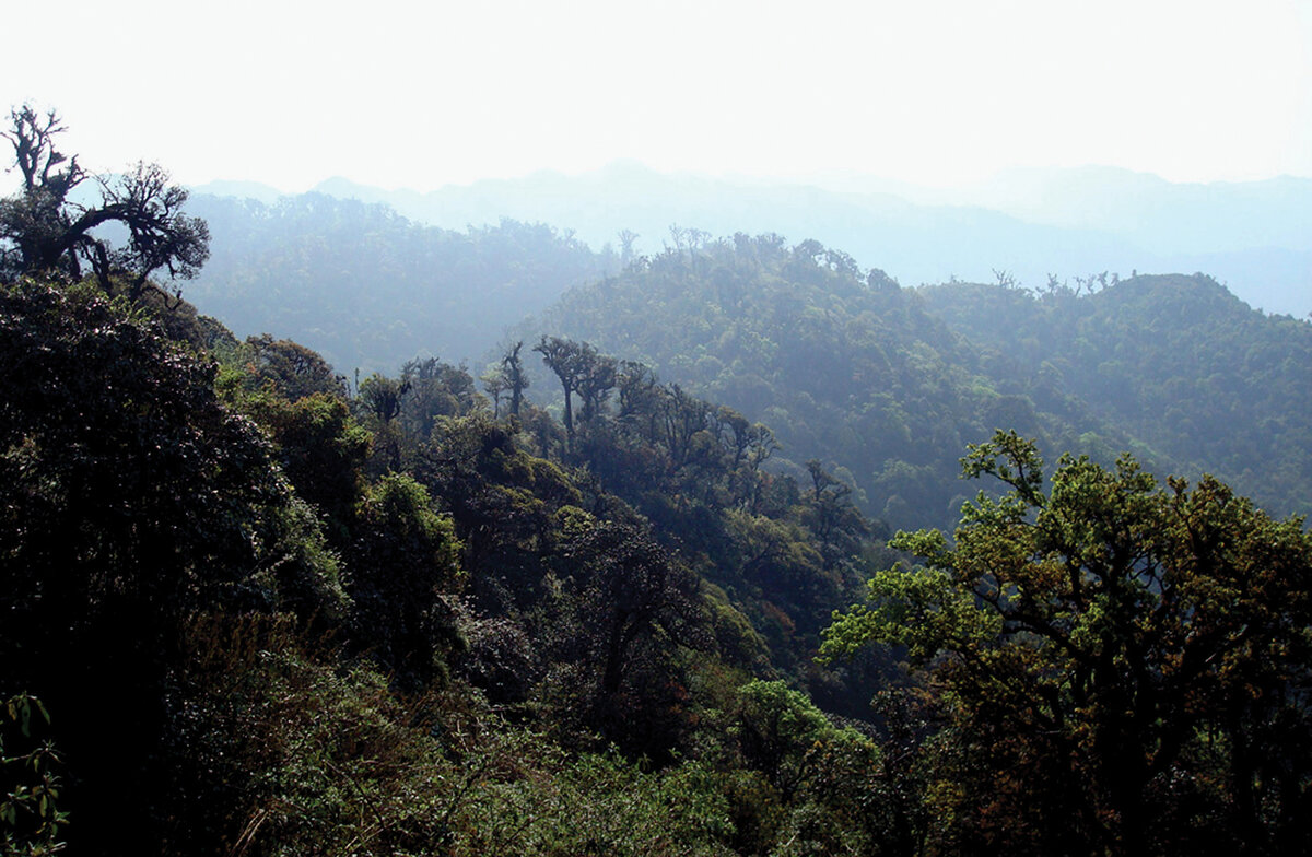 Горы Феншуйлинга в уезде // ФОТО: wikipedia