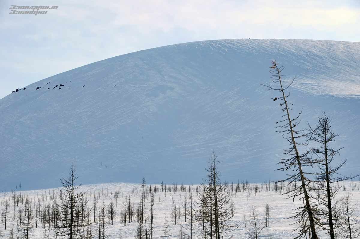 Если присмотреться, наверху можно заметить крошечные точки готовящихся к спуску райдеров