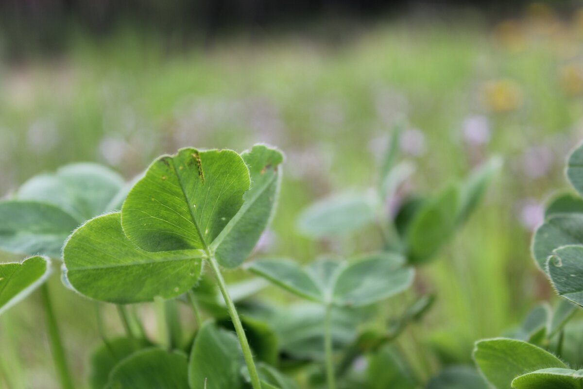 фото Татьяны Антоновой