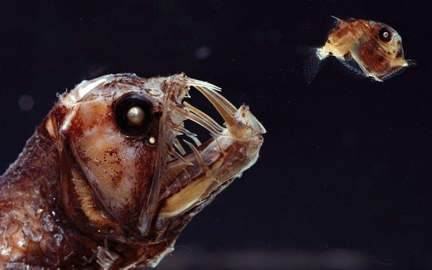 Когда забыл взять мусор,идя гулять.