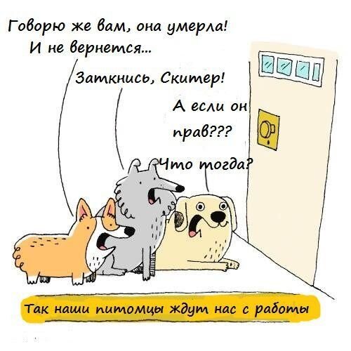 Картинка позаимствована на psy-praktice.com