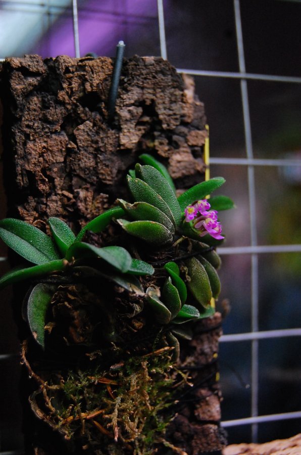 фото из сети