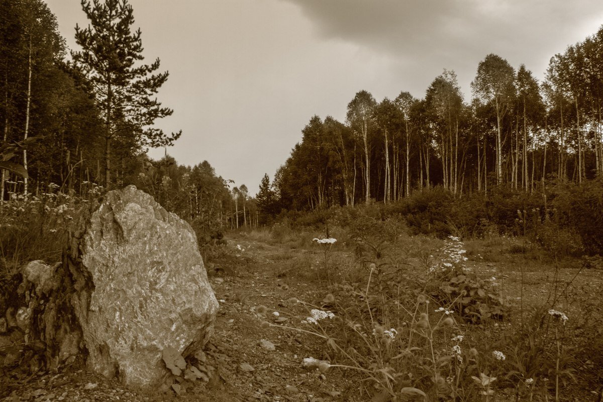 Фото: Алексей Степанов