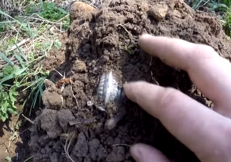 Целая пиалка полная земли.