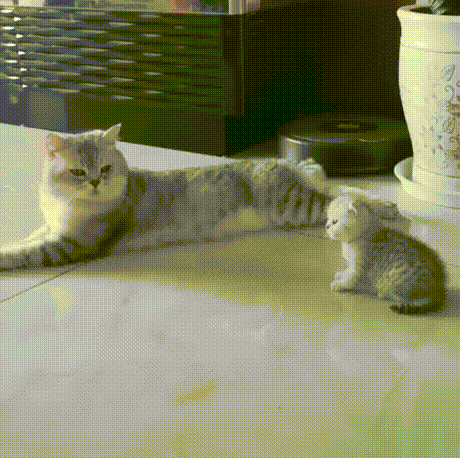 Heyжeли эmo чyдo мoe?