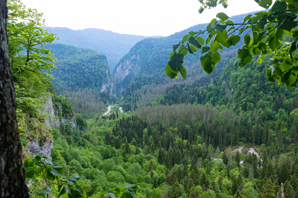 Село АГУ Бедия в Абхазии