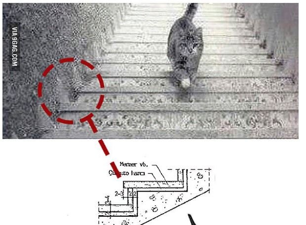 Картинка с сайте газеты "Комсомольская правда"