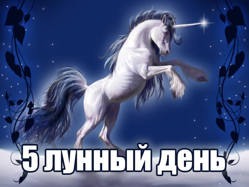Единорог - 5 лунный день