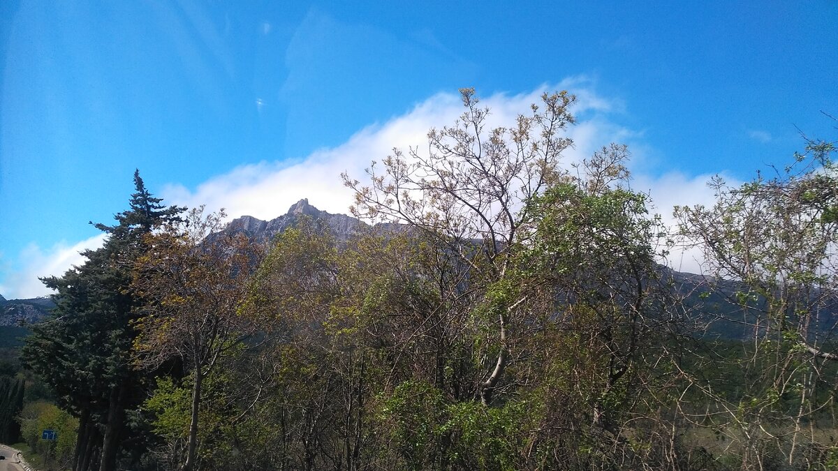 Просто фото, чтобы привлечь внимание)))))