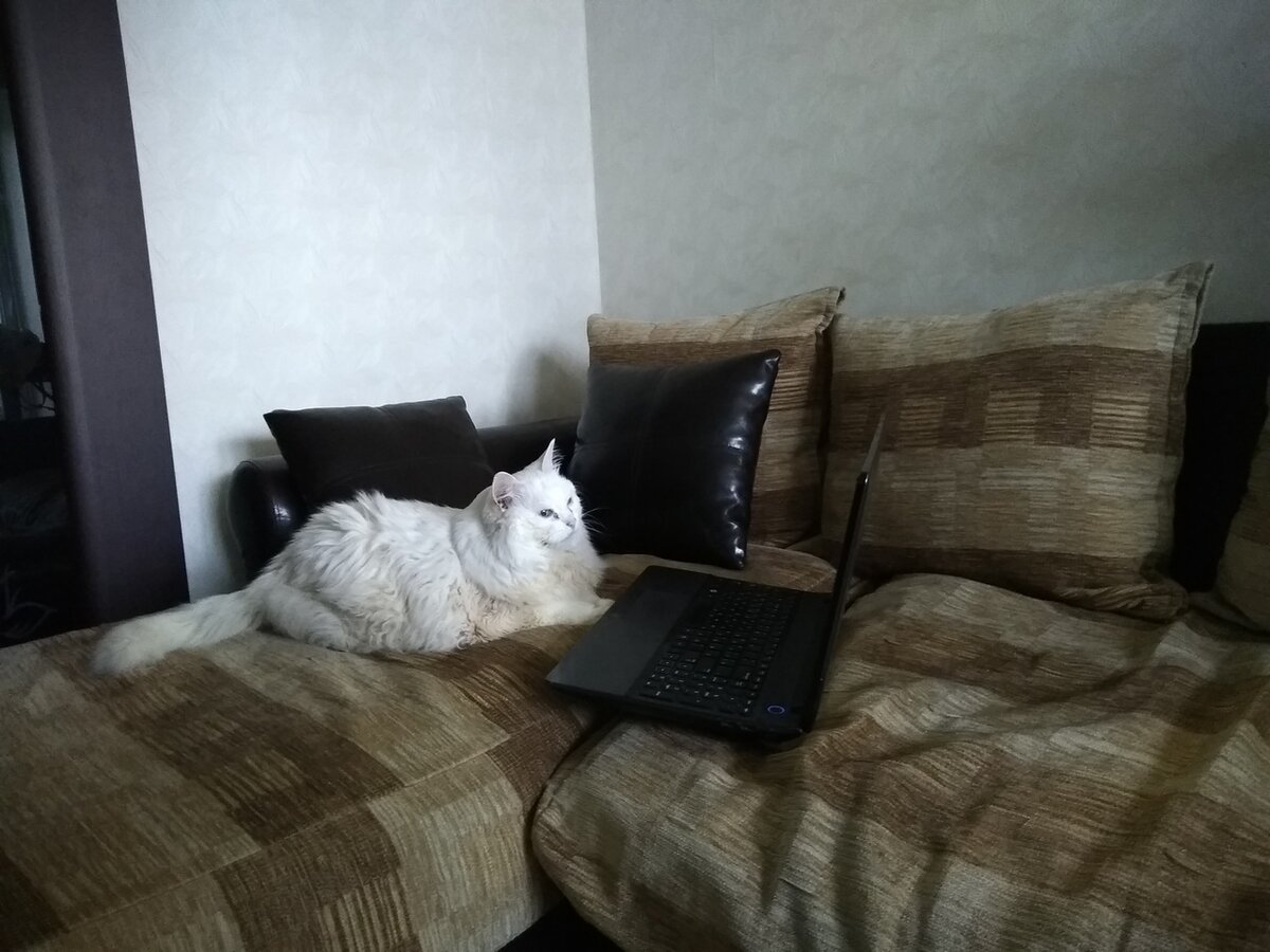 Смотрим рейтинги внимательно. Фото из личного архива