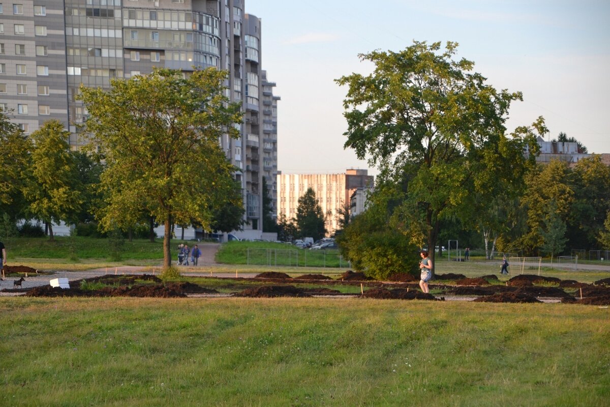 В парке Интернационалистов ведутся работы по благоустройству и установке  освещения | Штаб Купчино | Дзен