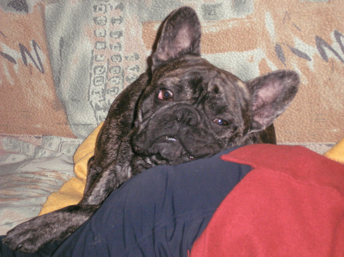 Безудержное веселье