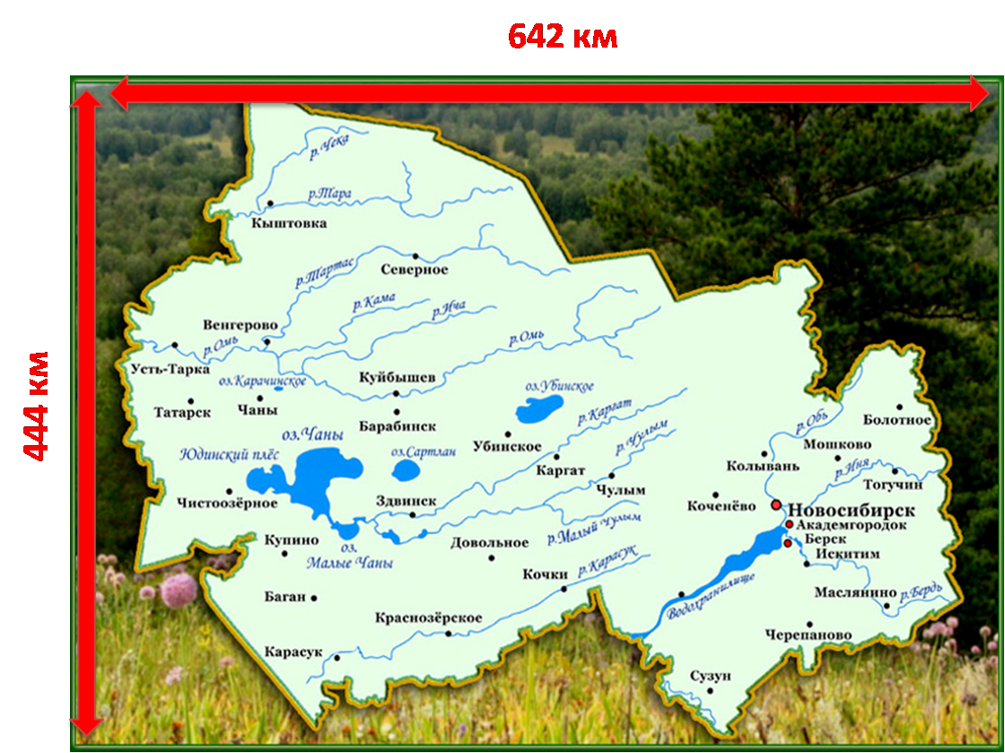 Купино новосибирская область на карте