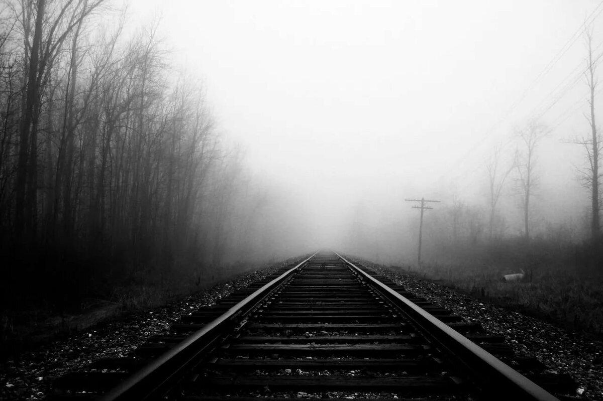 Фото: Яндекс картинки