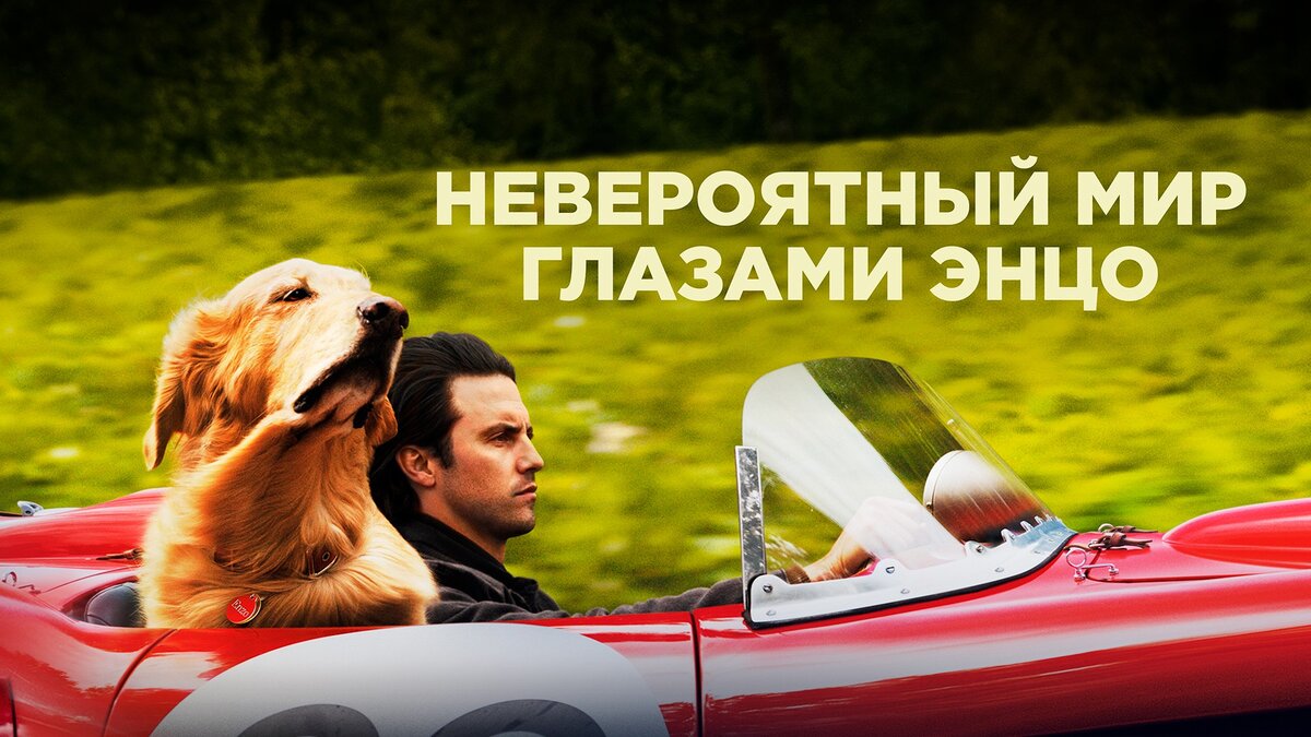 Кот и пес трейлер. Невероятный мир глазами Энцо (2019). Невероятный мир глазами Энсо.