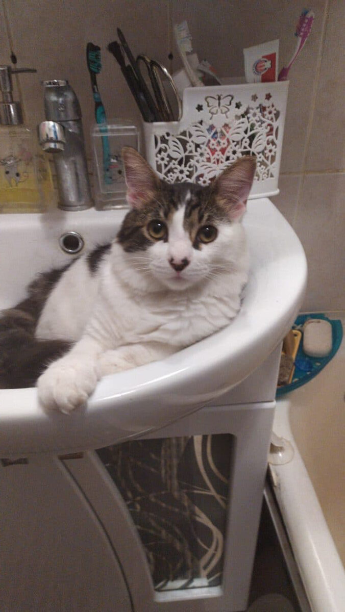 Водные процедуры :-)