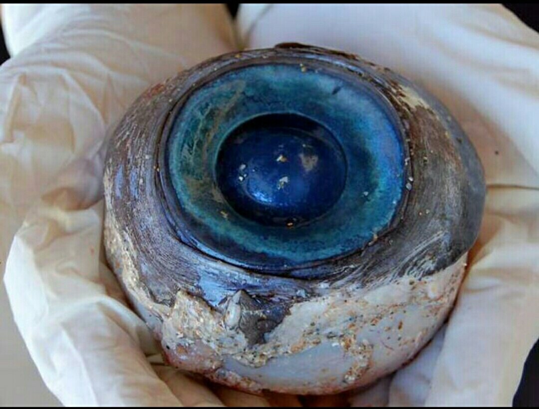 Глазное яблока