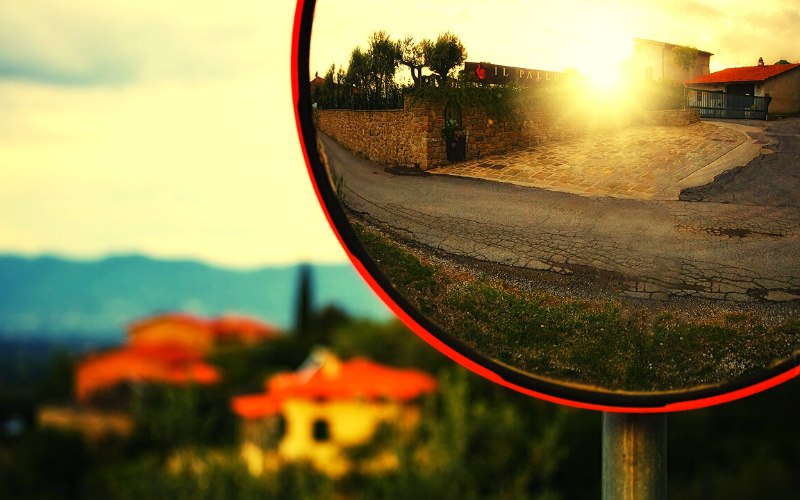 Фото отсюда: https://pixabay.com/ru