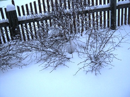 У нас зима, снег.