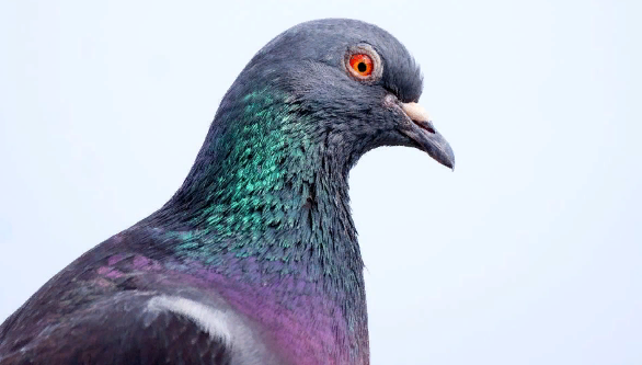 Вам больше заняться нечем? 