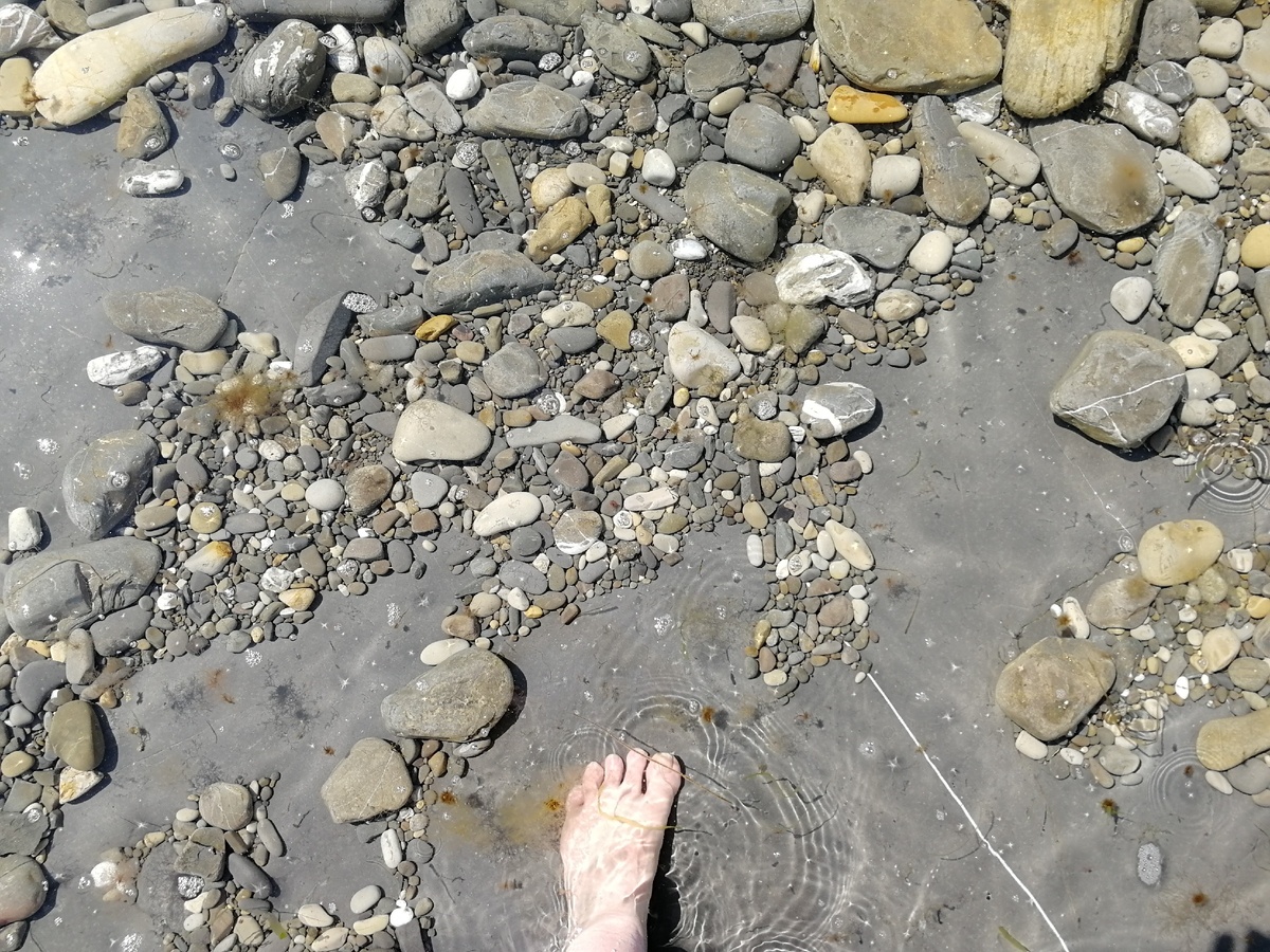 Фото автора. 07.04.19. 